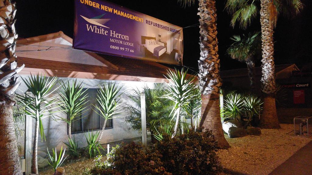 White Heron Motor Lodge Gisborne Ngoại thất bức ảnh