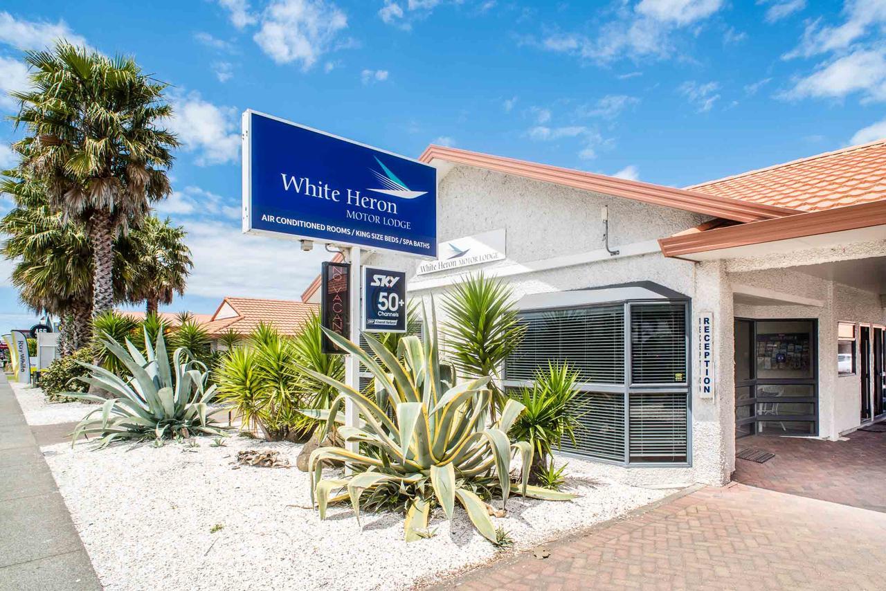 White Heron Motor Lodge Gisborne Ngoại thất bức ảnh